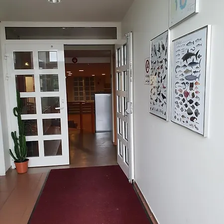 Retro Farfuglaheimili *
